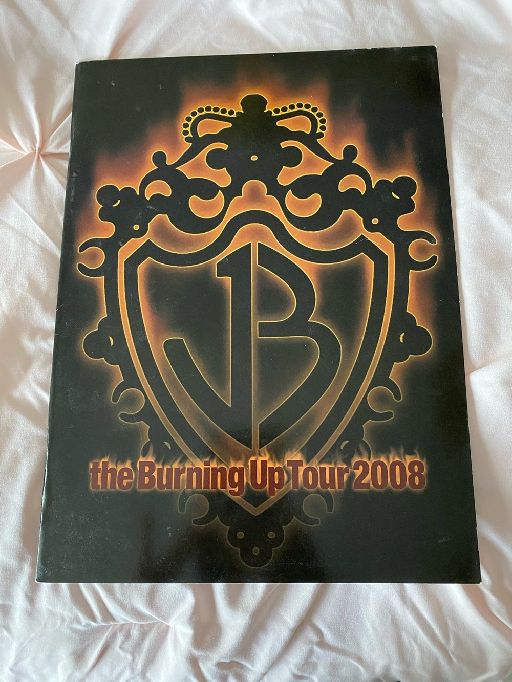 Jonas Brothers The Burning Up Tour 2008 Book